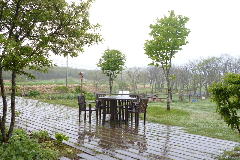 伊藤✩牧場はこんなところ。雨にしっとり濡れた日でした